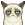 :grumpycat: